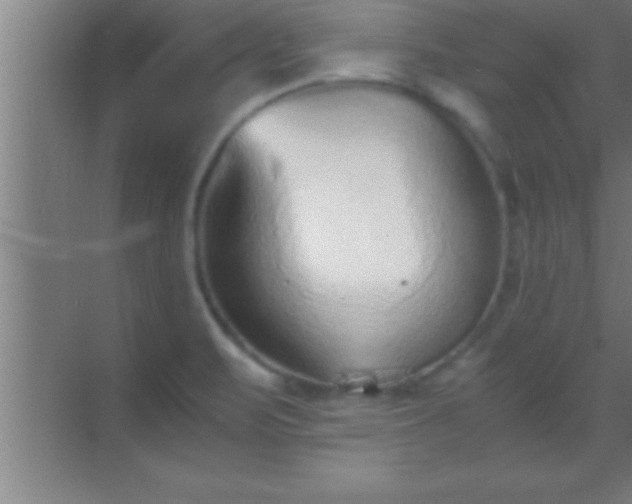 X0000069831471200605261828