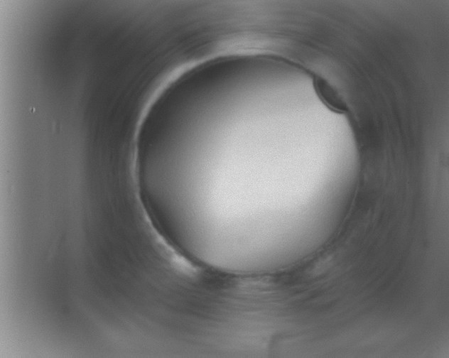 X0000069831472200605261828