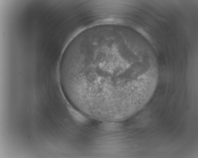 X0000069831474200605261828