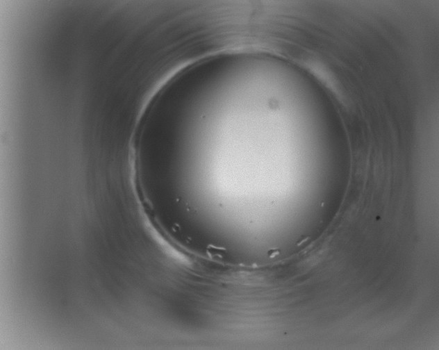 X0000069831476200605261828