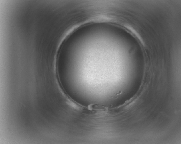 X0000069831477200605261828