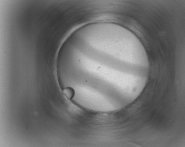 X0000069831478200605261828