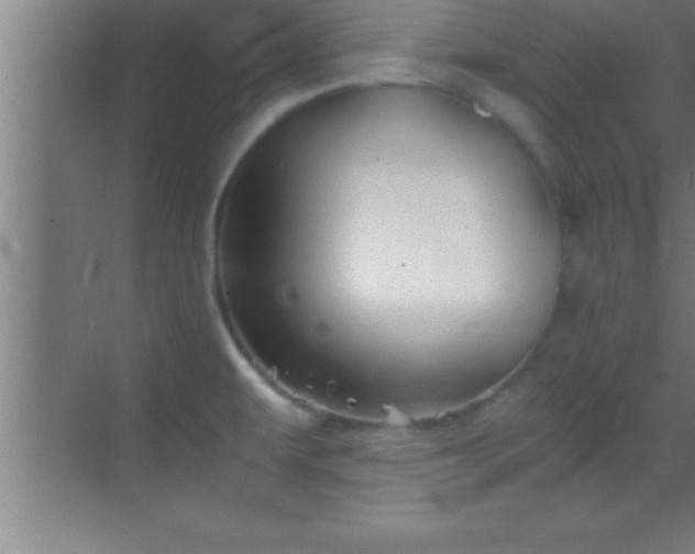 X0000069831479200605261828