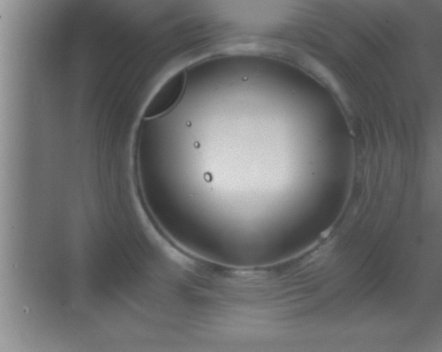 X0000069831483200605261828