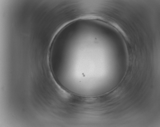 X0000069831484200605261828