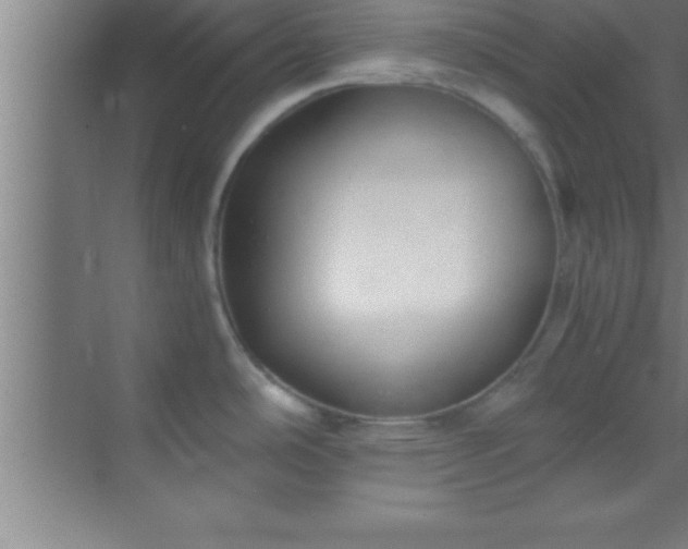 X0000069831486200605261828