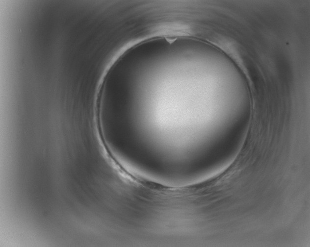 X0000069831488200605261828