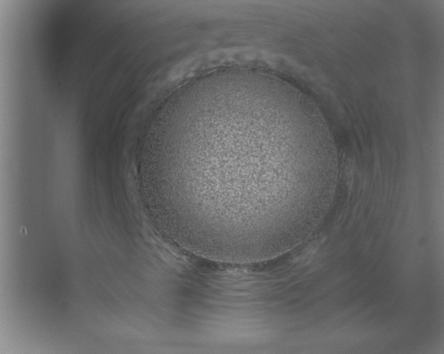 X0000069831489200605261827