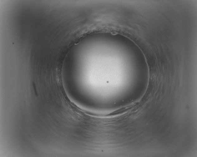 X0000069831490200605261827