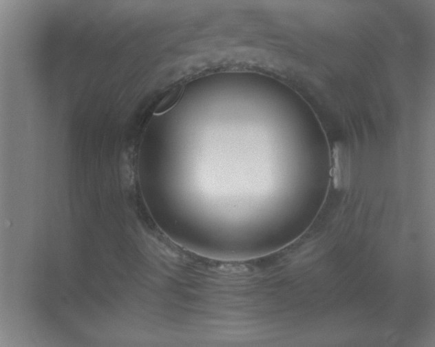 X0000069831491200605261827