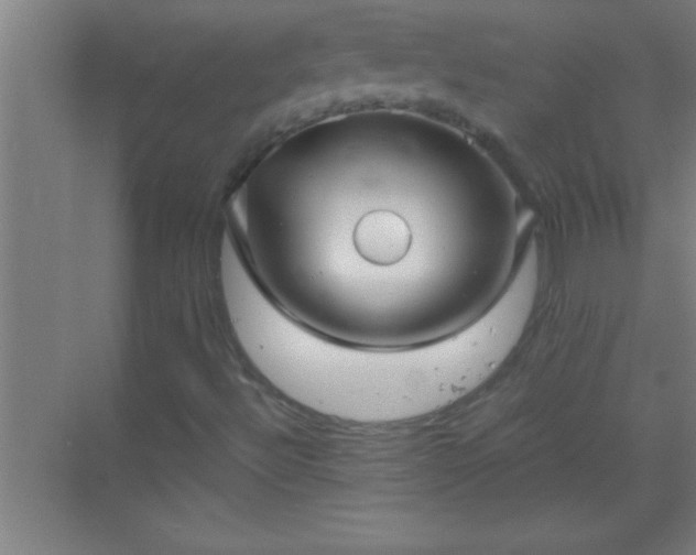 X0000069831492200605261827