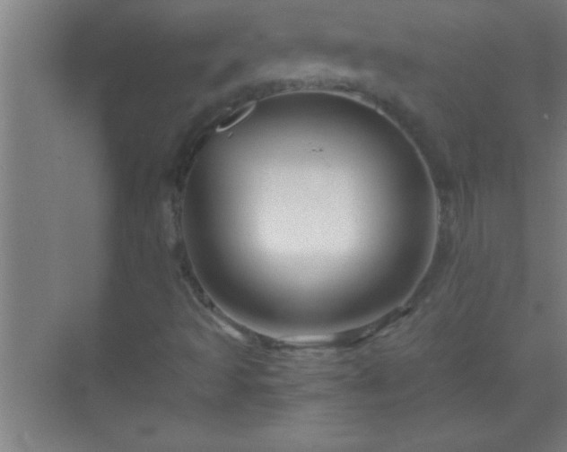 X0000069831493200605261827