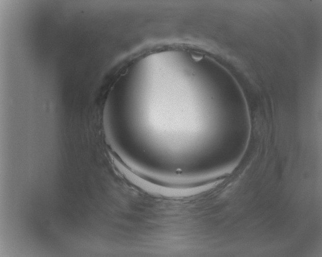 X0000069831494200605261827