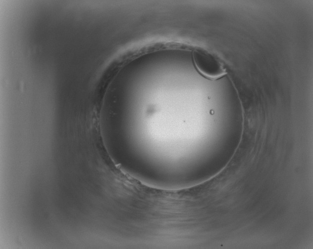 X0000069831495200605261827