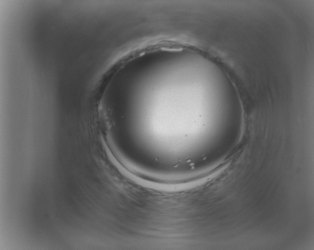 X0000069831496200605261827