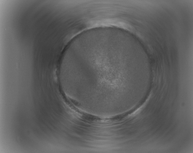 X0000069831497200605261827