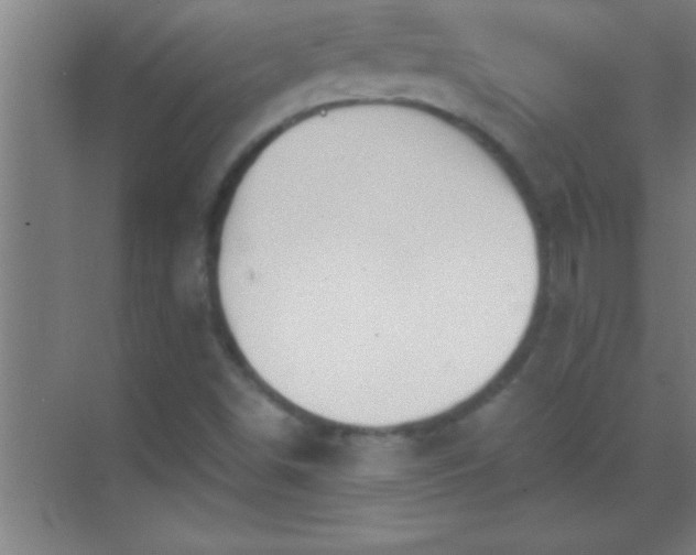 X0000069831498200605261827