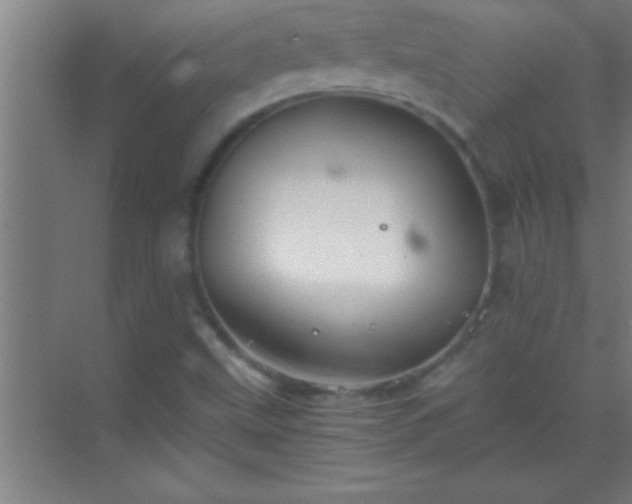 X0000069831499200605261827