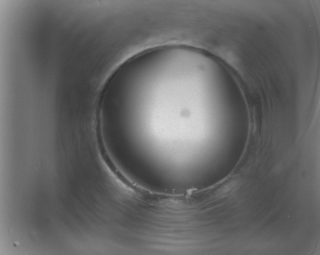 X0000069831500200605261827