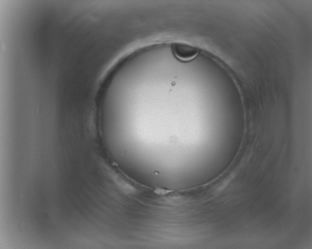 X0000069831502200605261827