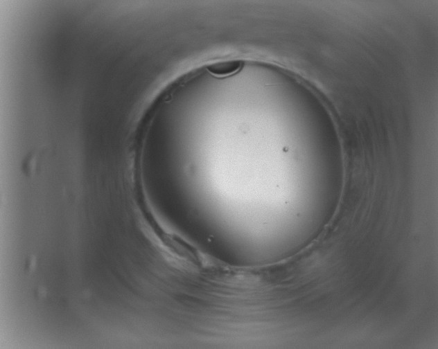 X0000069831503200605261827