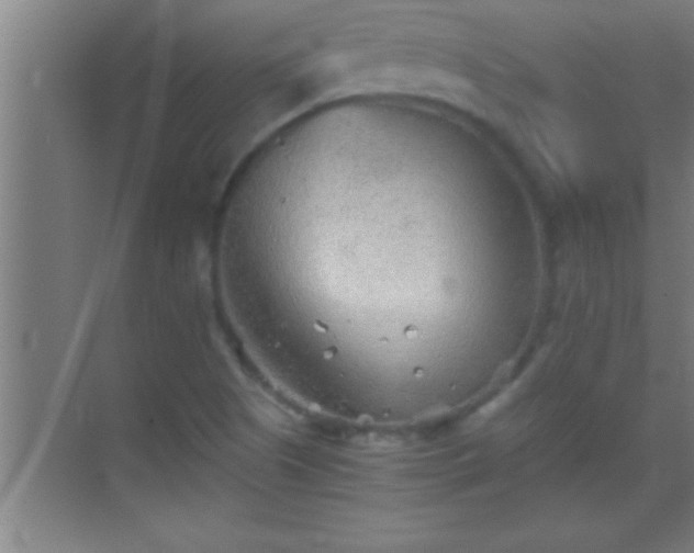 X0000069831505200605261827