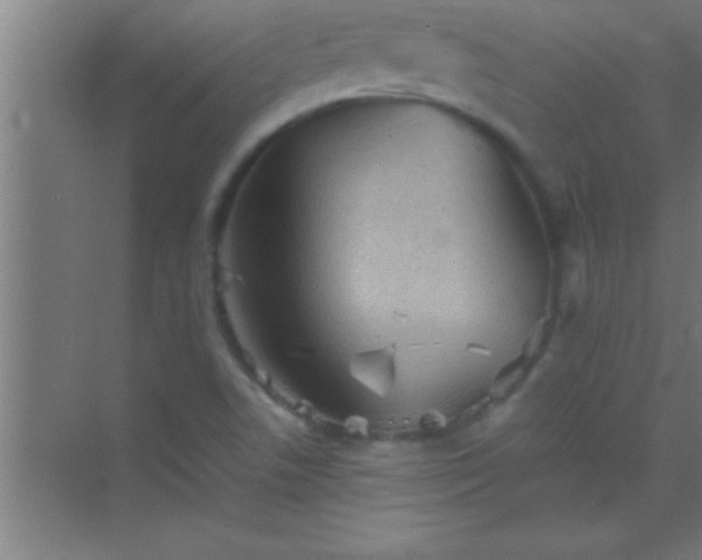 X0000069831506200605261827