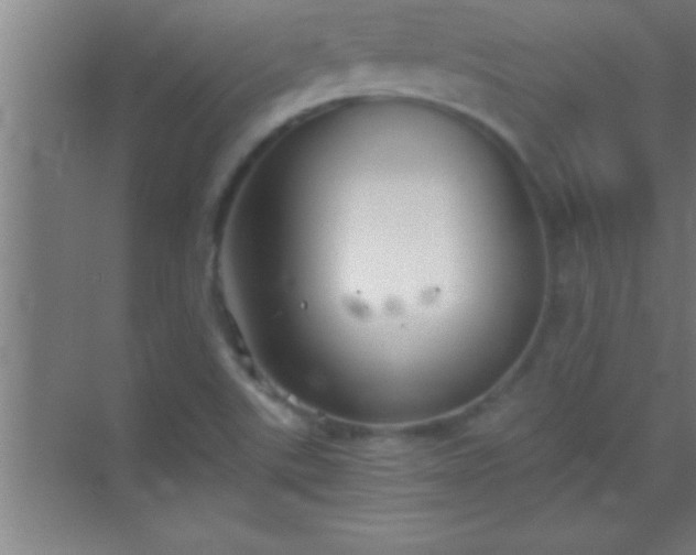 X0000069831507200605261827