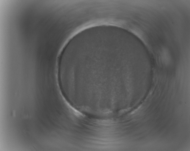 X0000069831508200605261827