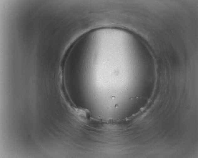 X0000069831509200605261827