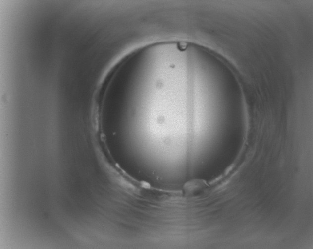 X0000069831510200605261827