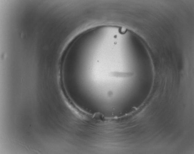 X0000069831511200605261827