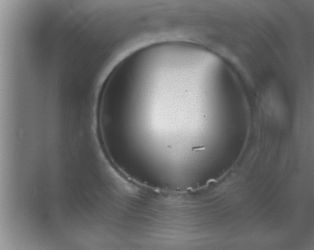 X0000069831512200605261827