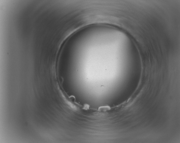 X0000069831513200605261827