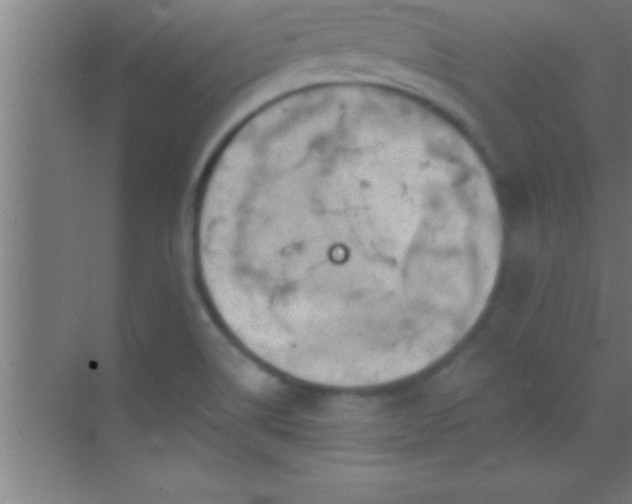 X0000069831514200605261827