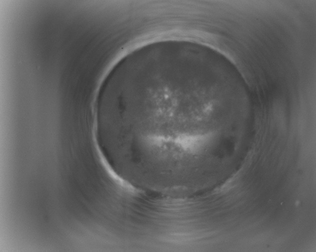 X0000069831515200605261827