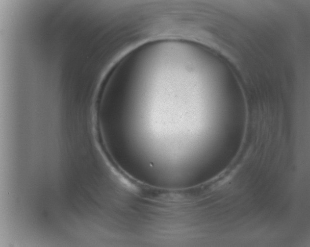 X0000069831517200605261828