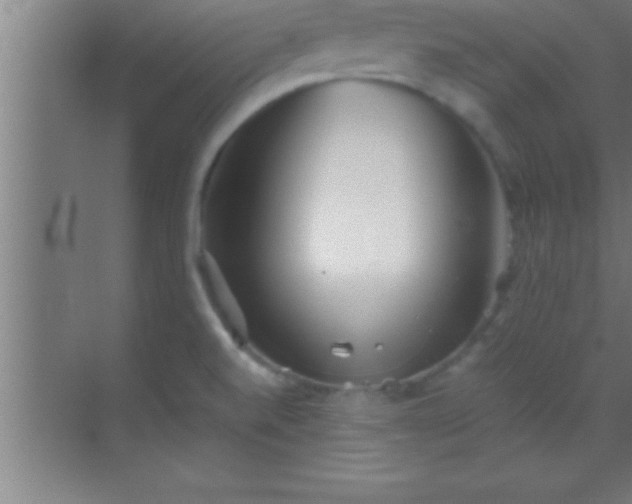 X0000069831520200605261828