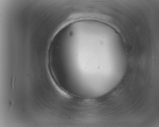 X0000069831523200605261828