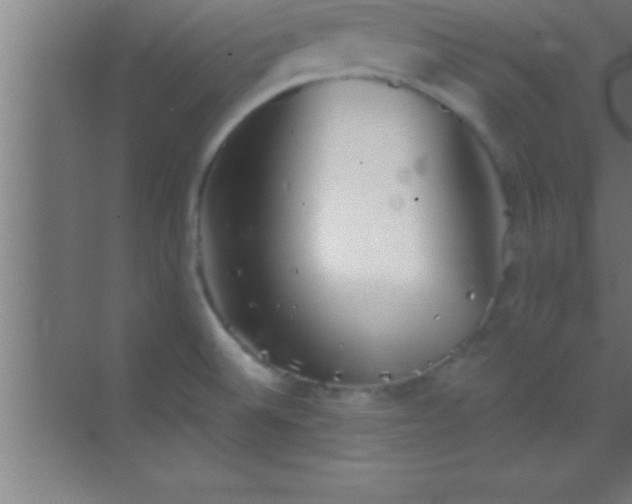 X0000069831524200605261828