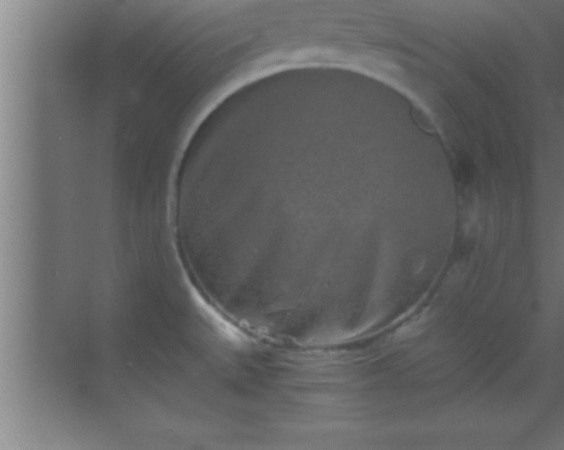 X0000069831527200605261828