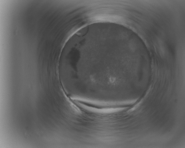 X0000069831529200605261828