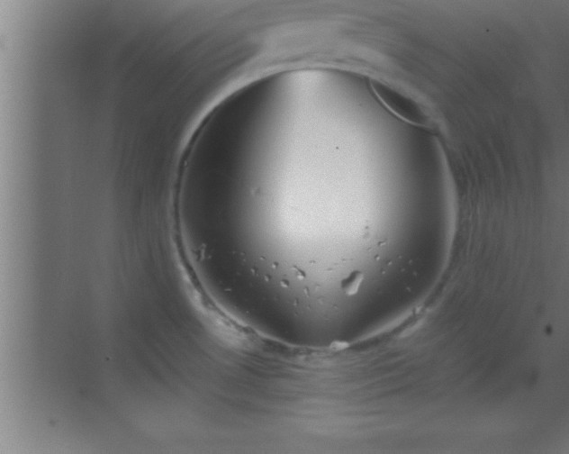 X0000069831530200605261828