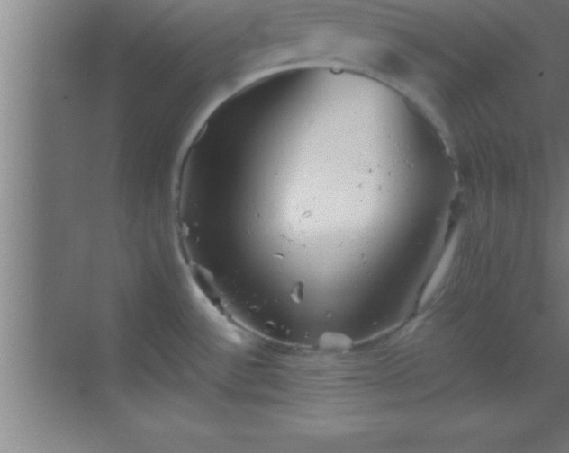 X0000069831532200605261828