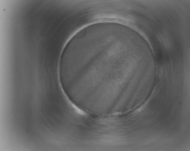 X0000069831533200605261828