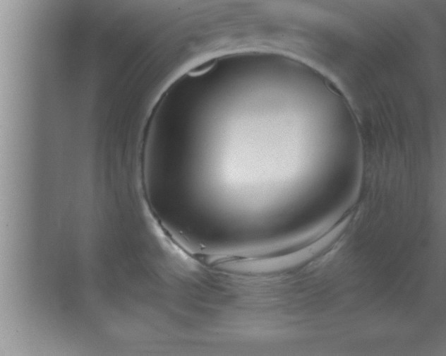 X0000069831534200605261828