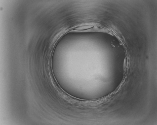 X0000069830001200606021348