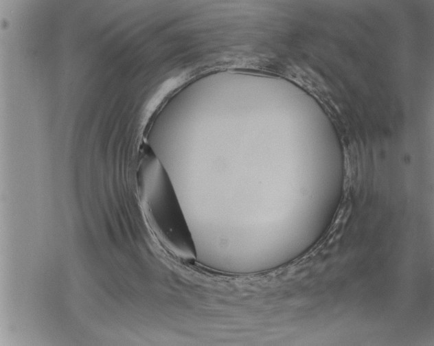 X0000069830003200606021348