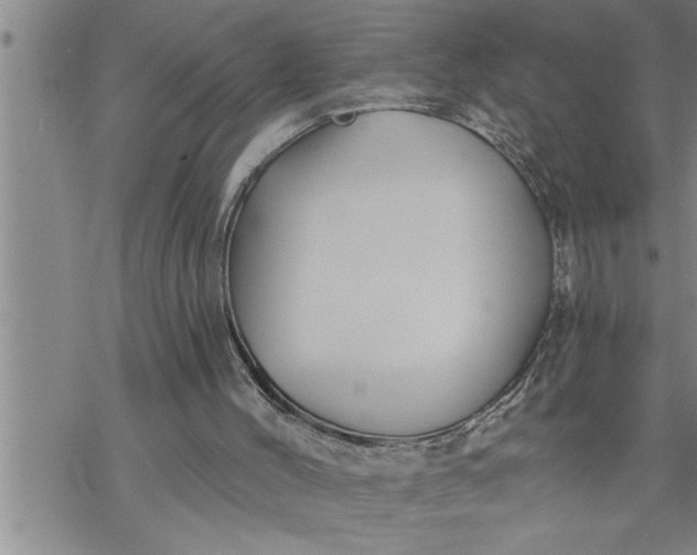 X0000069830004200606021348