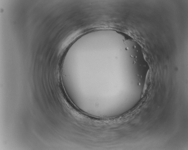 X0000069830005200606021348